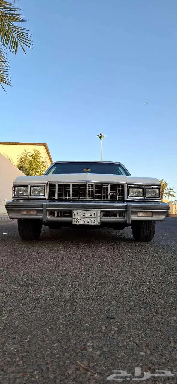 كابرس 79 بتبوك 18