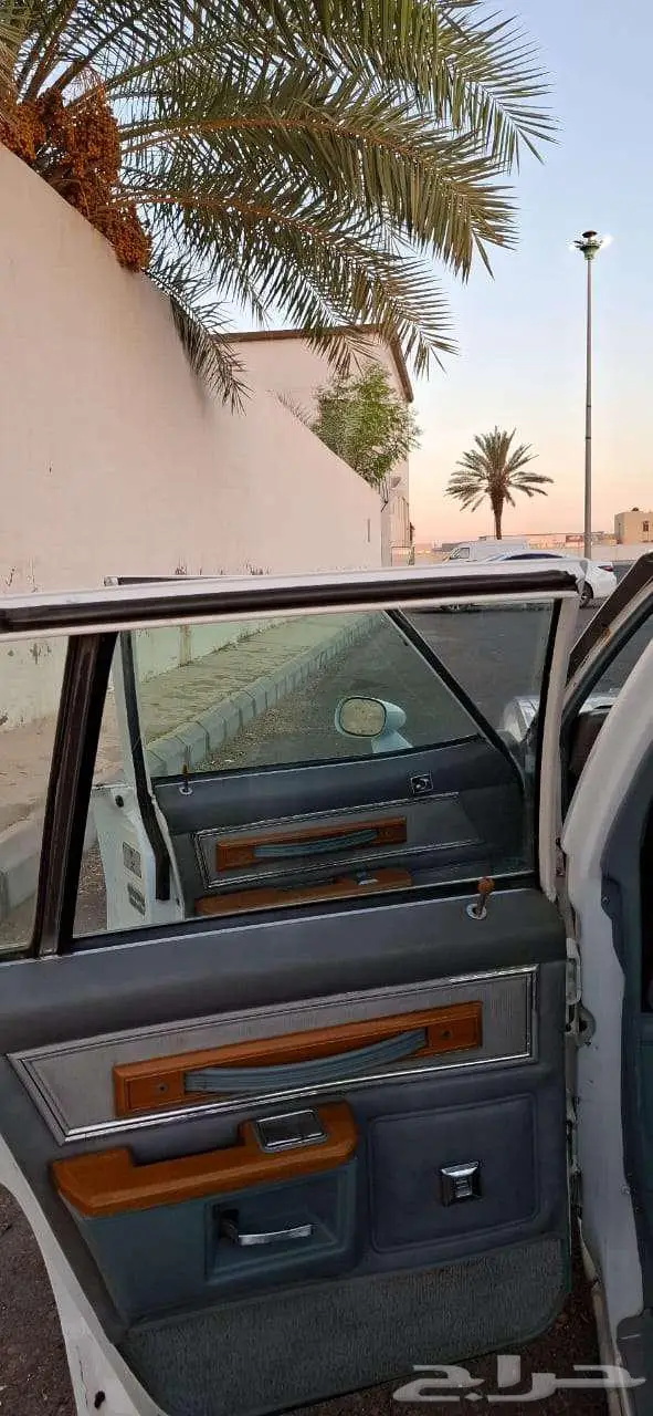 كابرس 79 بتبوك 20