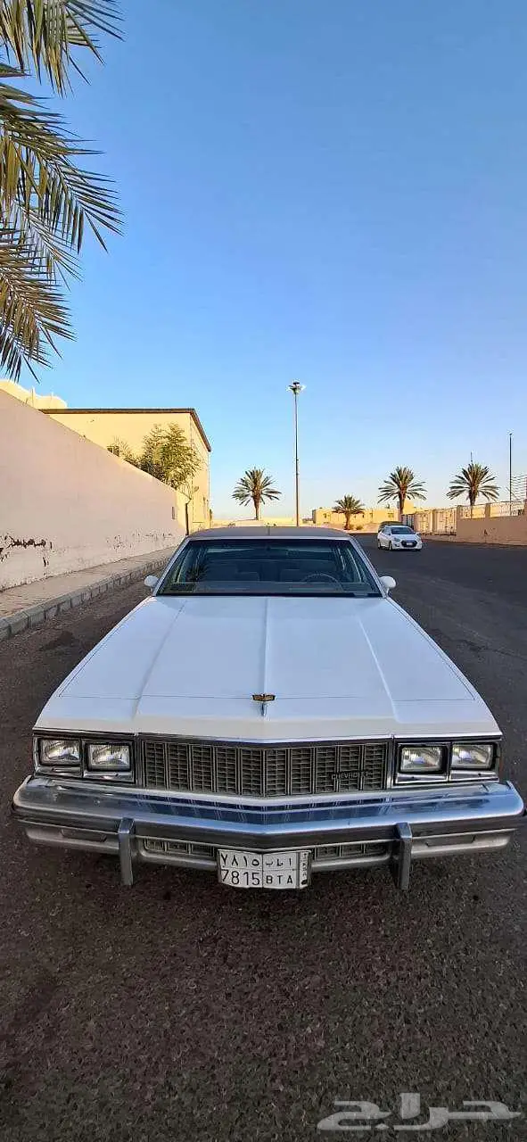 كابرس 79 بتبوك 17