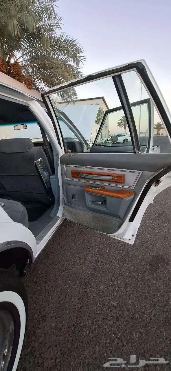 كابرس 79 بتبوك 28