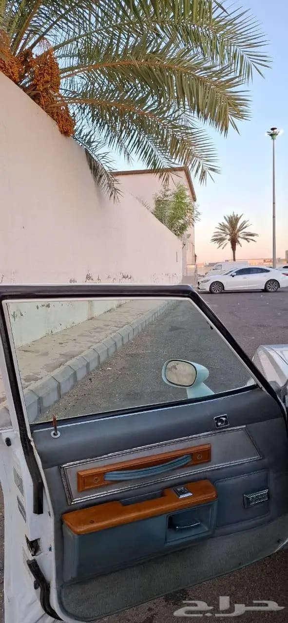 كابرس 79 بتبوك 22