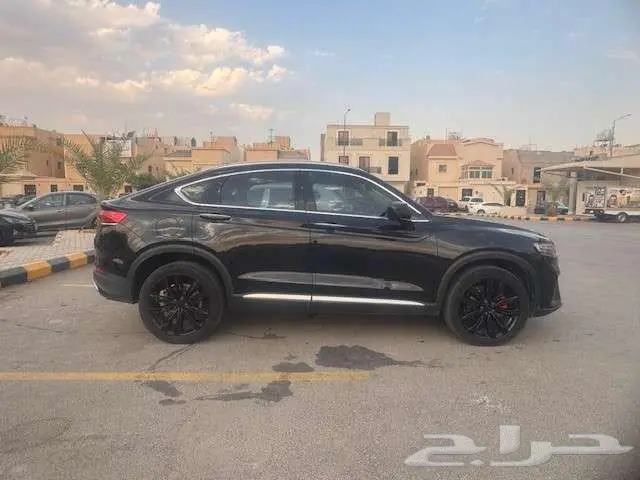توجيلا 2022 16