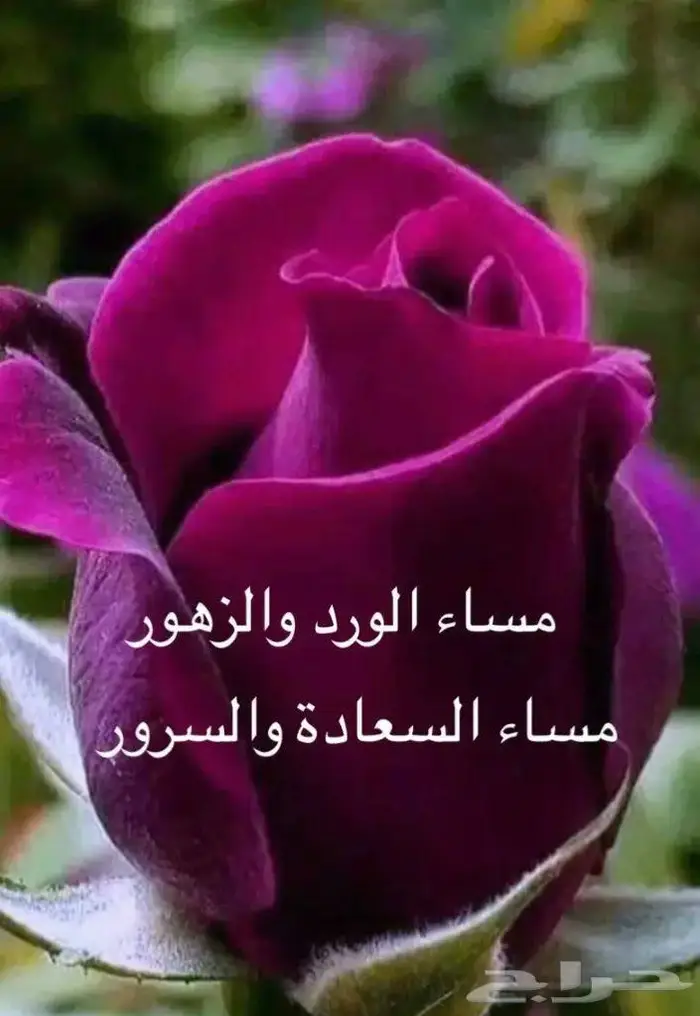 تعليقة فضة اصلي تراثية نادر 16