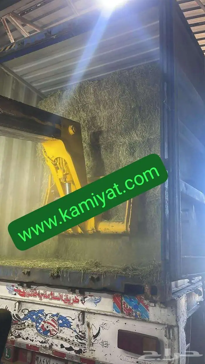 برسيم حجازي مستورد من مصر 4