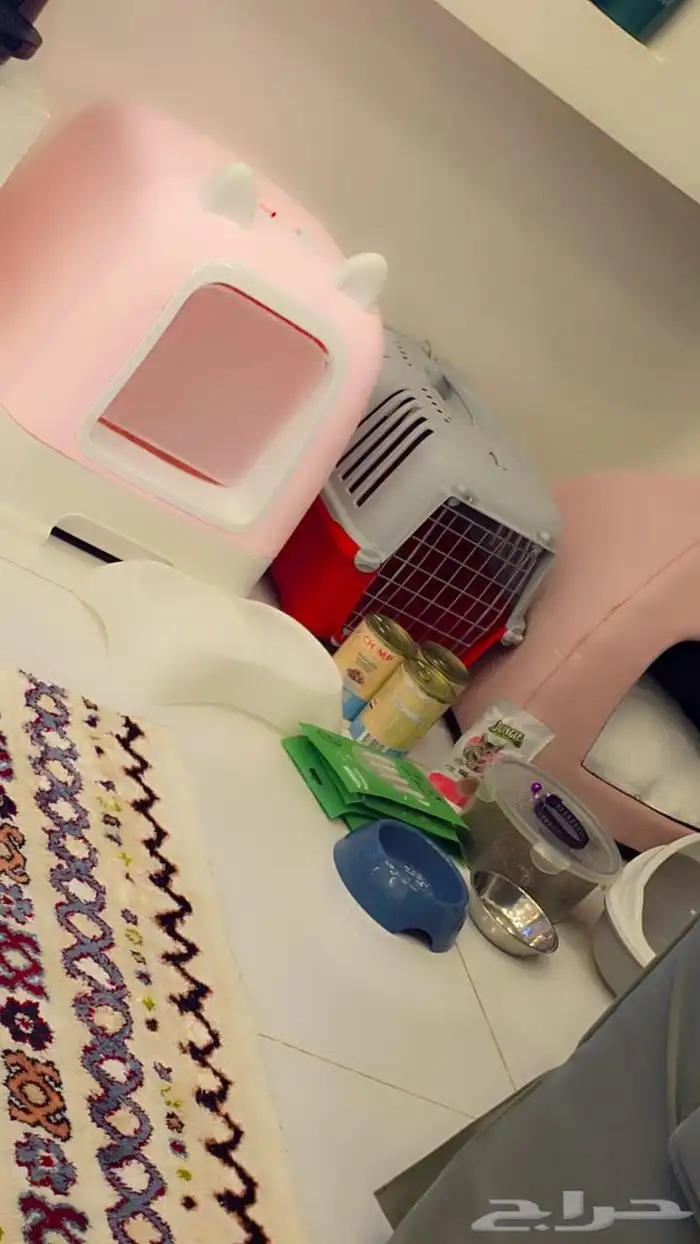 مستلزمات قطط 0