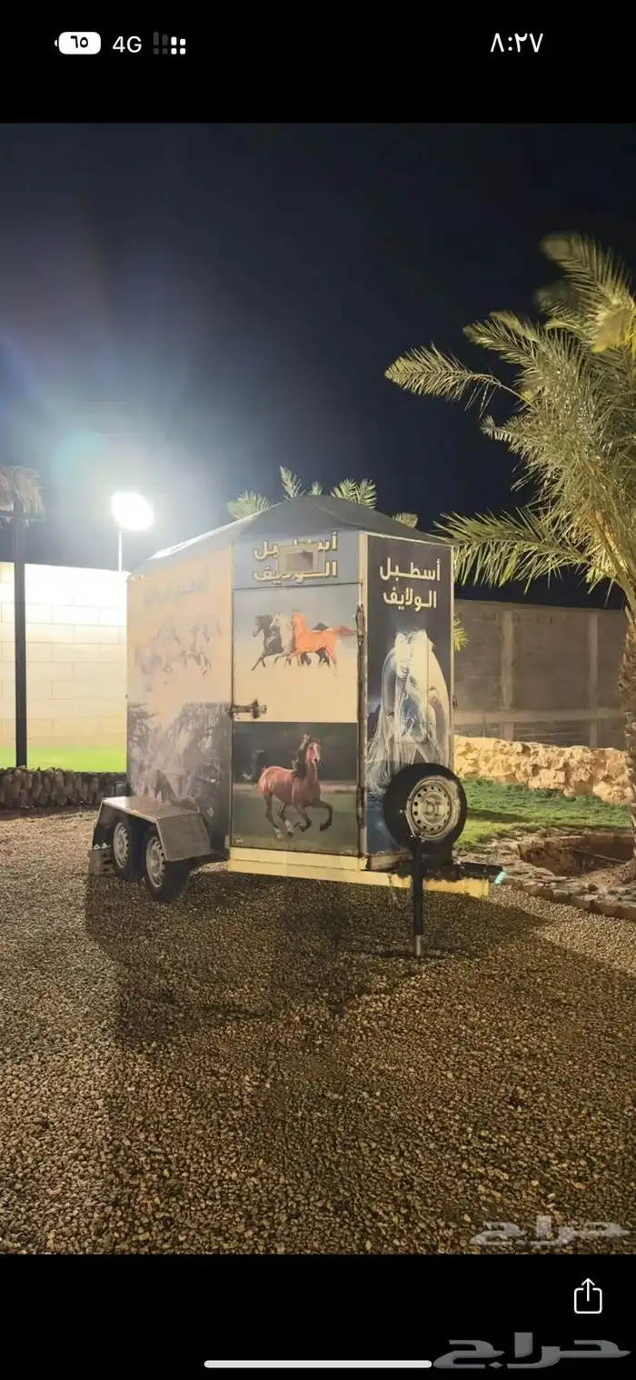 عربه نقل خيل من بقيق الى الخفجي 0