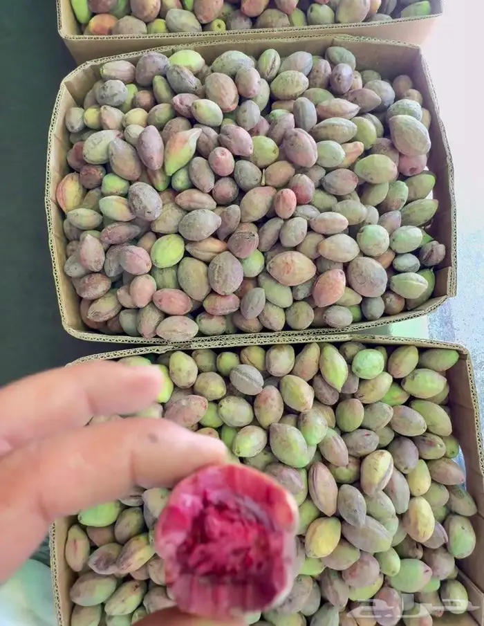 لوز ويوجد توصيل 1