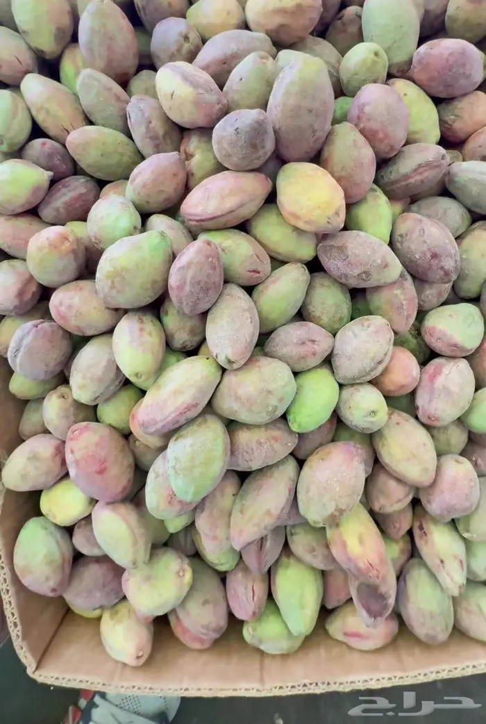 لوز ويوجد توصيل 2