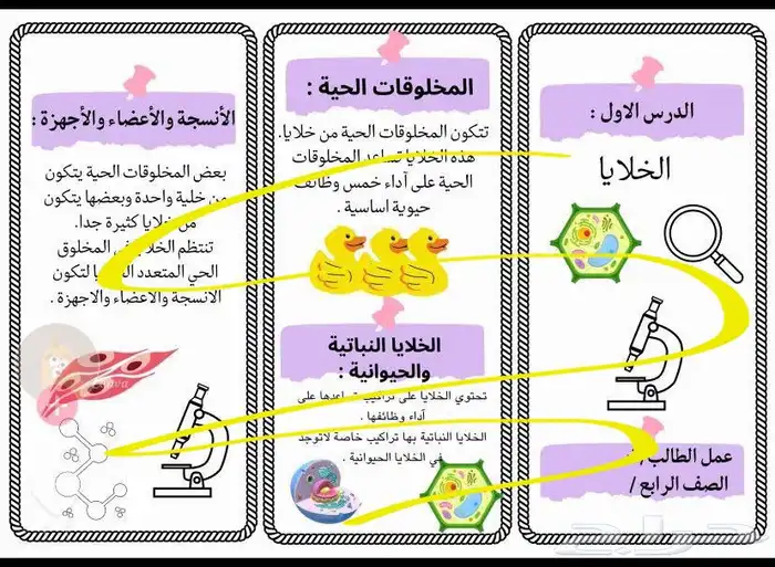 مطويات للمرحلة الابتدائيه 4