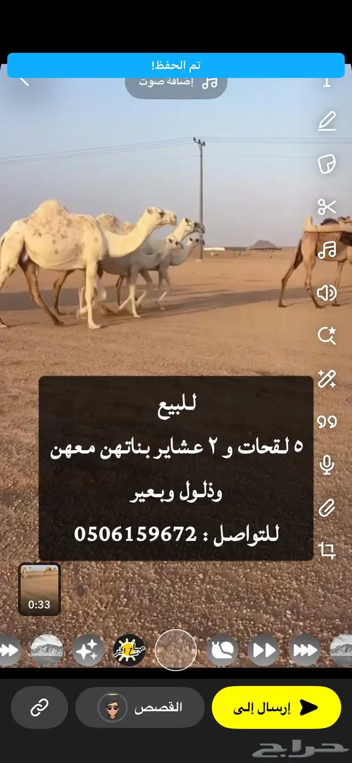 للبيع نياق 1