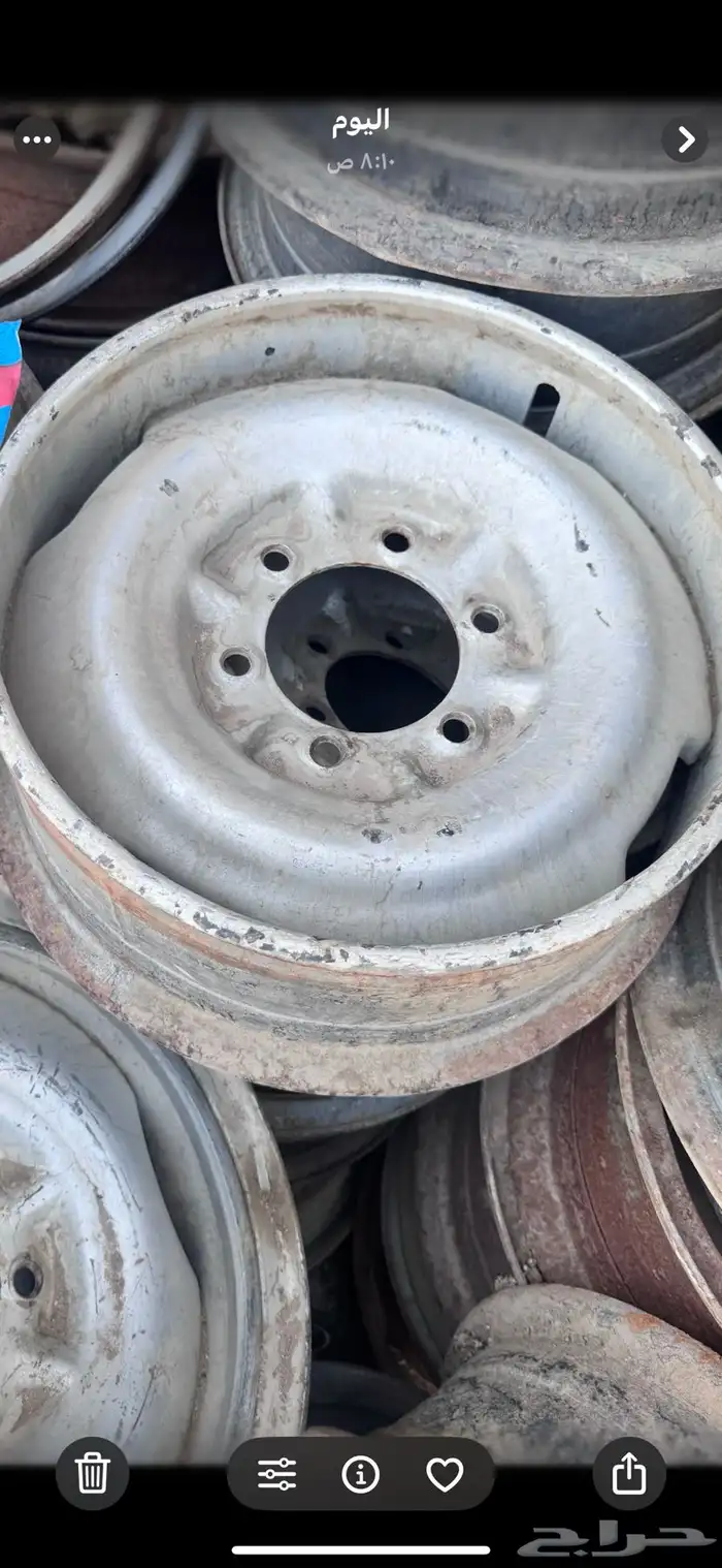 جنوط شنبر 0