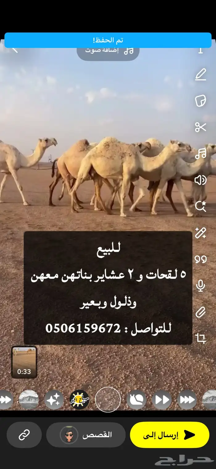 للبيع نياق 0