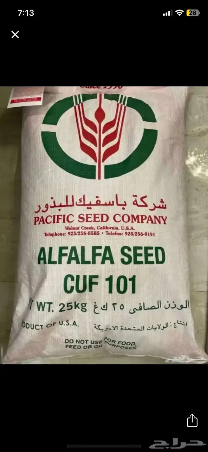 بذور برسيم ( كاف 101 ) 0