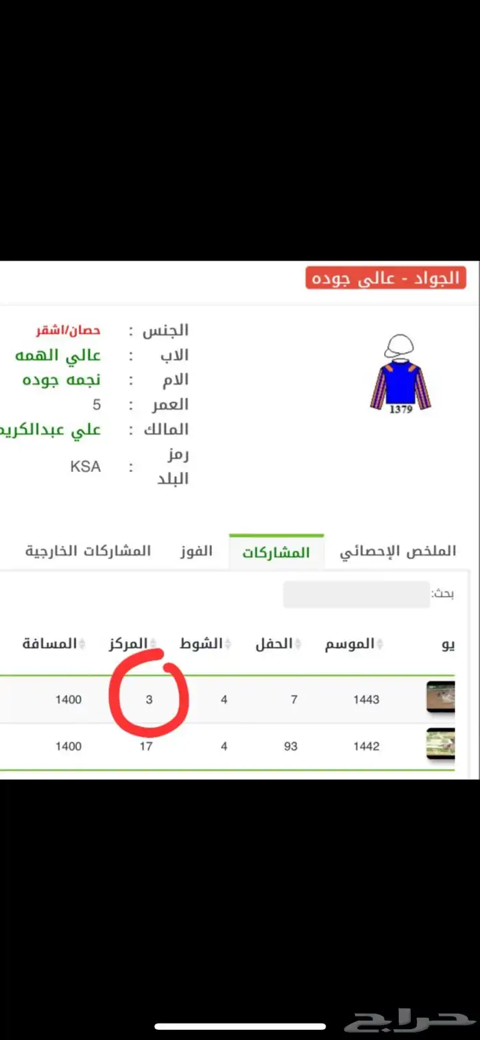 حصان فرنسي خط سرعه ومحقق وكفو 2
