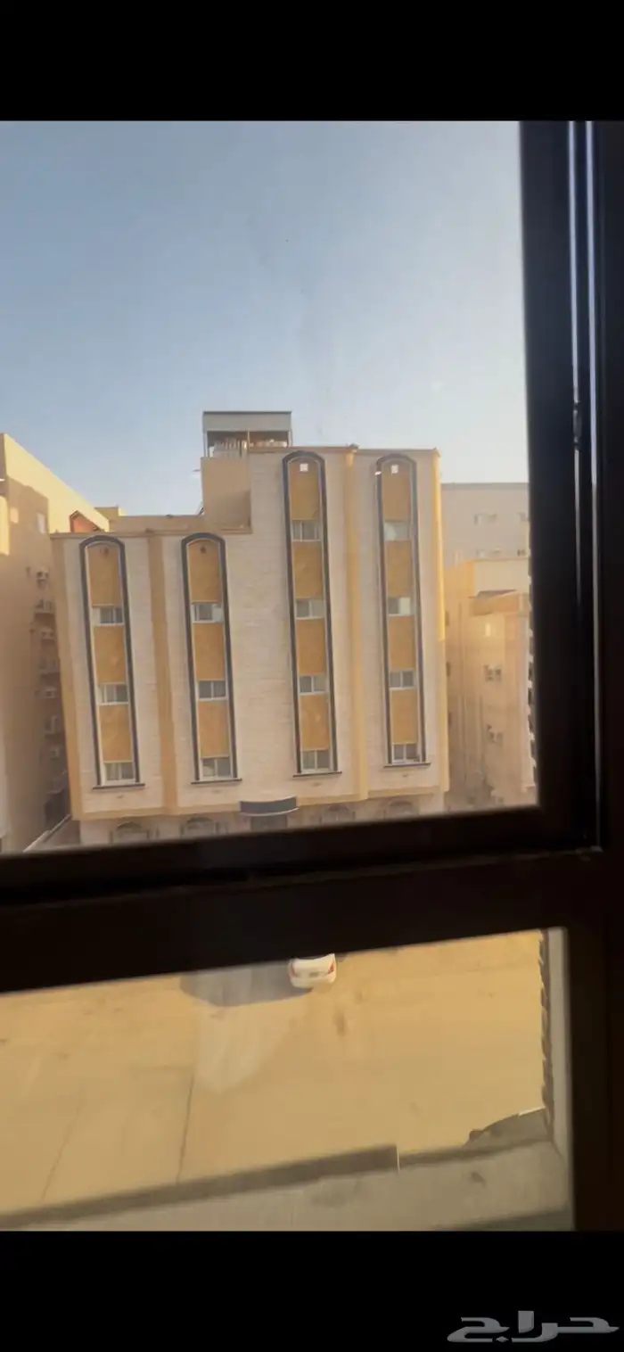 شقه للايجار 15