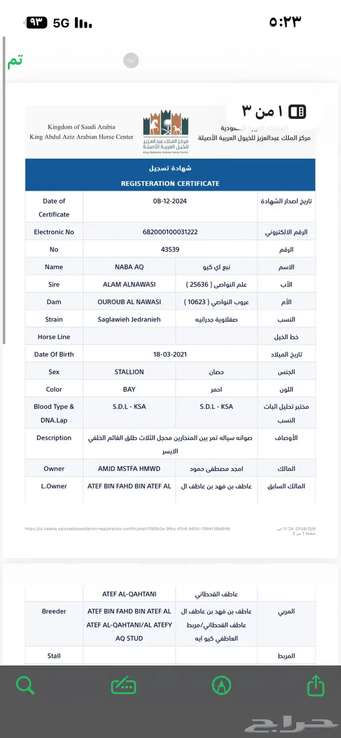 حصان واهو نبع حفيد وادي الشقب 0