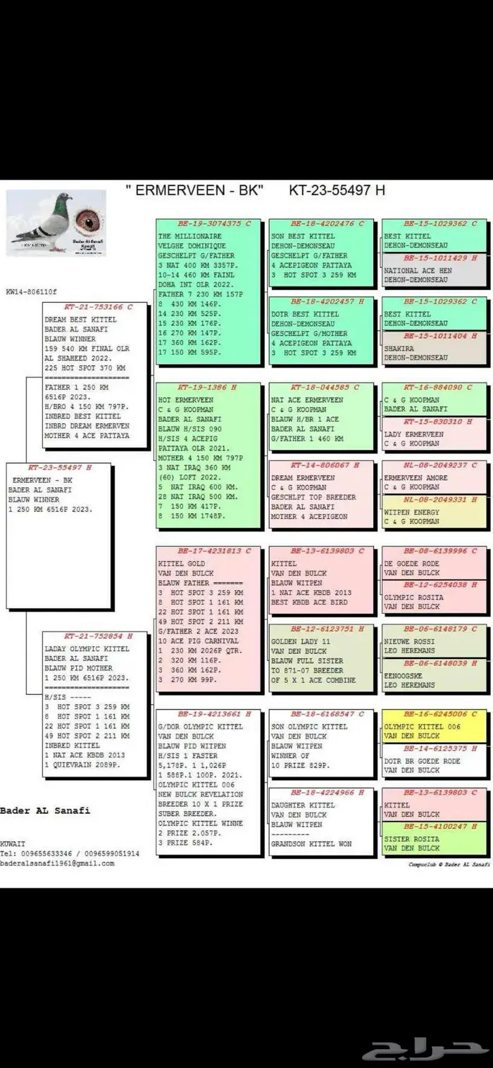 زوج طبات 2025 تم البيع 3