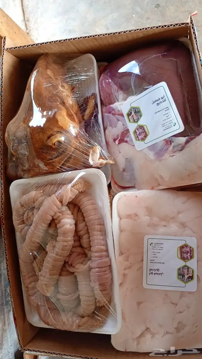 ذبايح خرفان تمايم طيبه 2