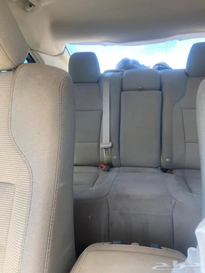 تورس 2015 شرط 7