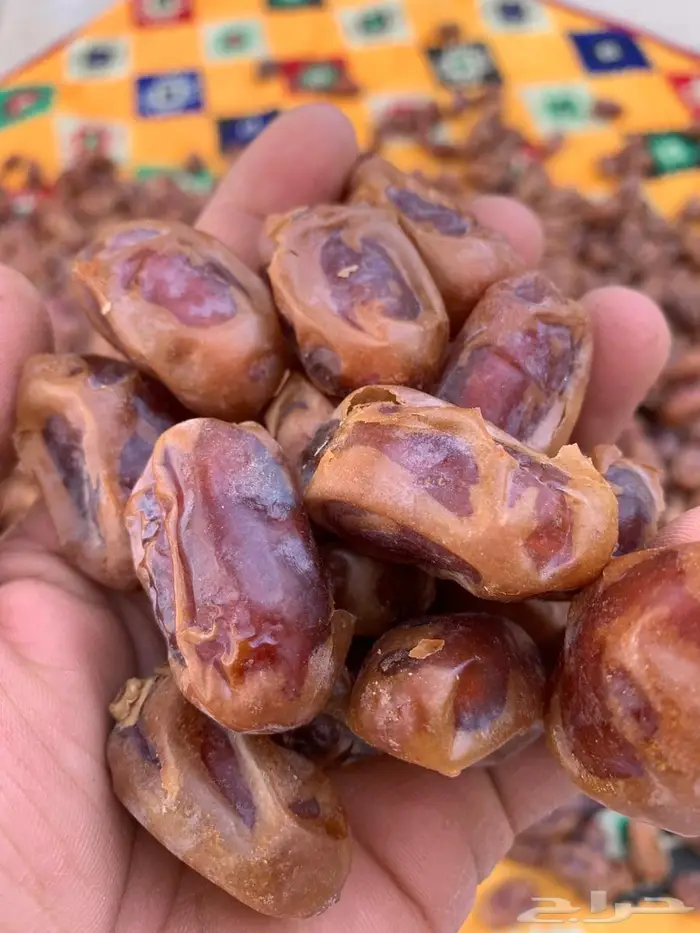 تمر خلاص الاحساء جديد 1447 حبة كبير وسط 0