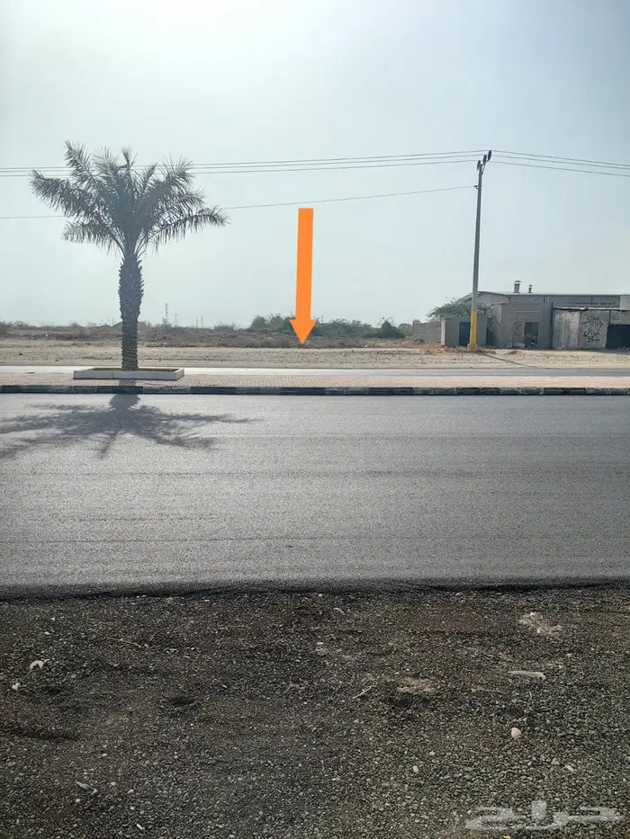 ارض للبيع بصك زراعي ببيش على الشارع العام 0