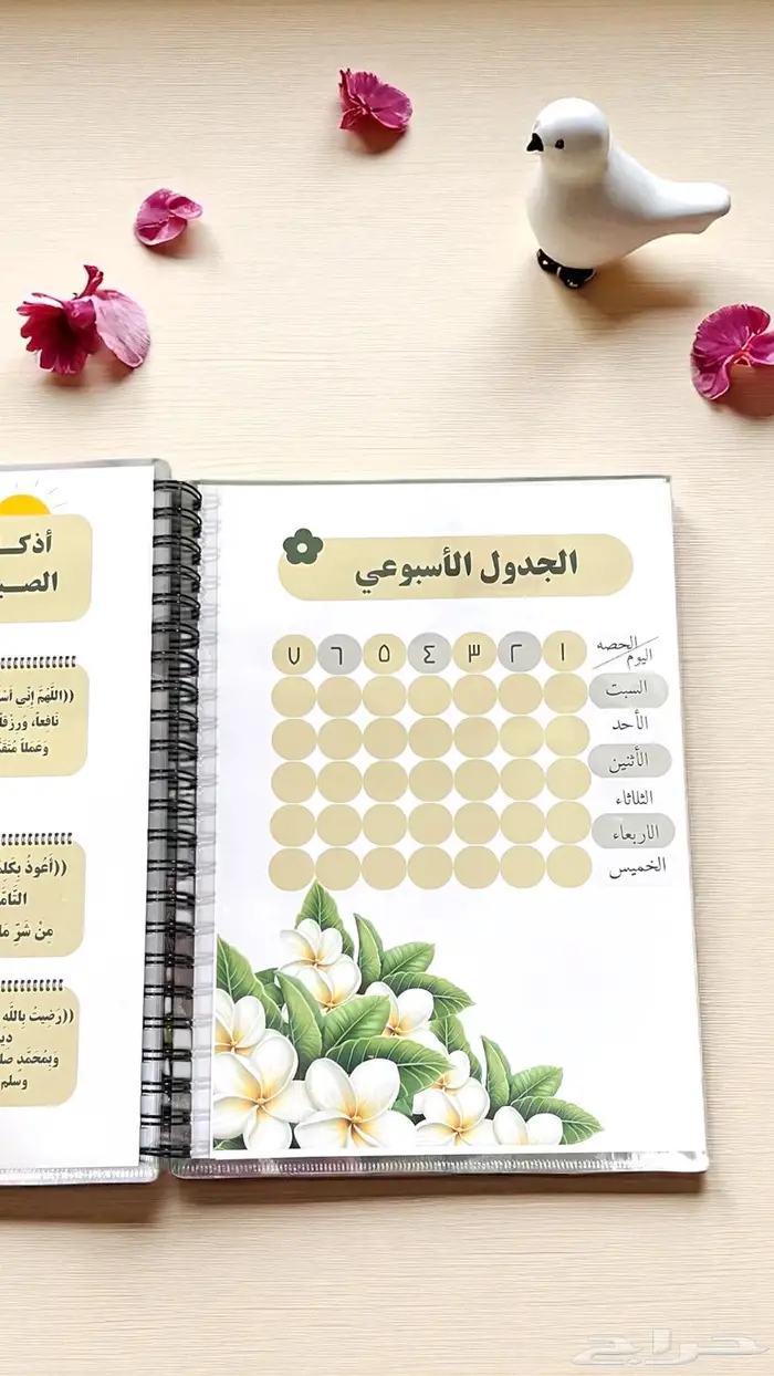 ملف انجاز حسب الطلب 31