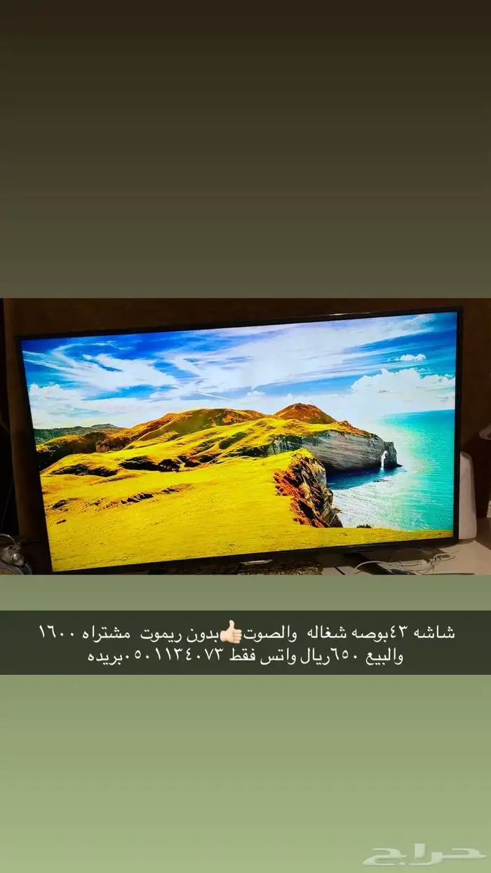 شاشة 43 بوصه جهاز سير (Olympia 1