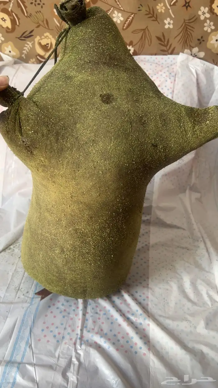 العقيق 1
