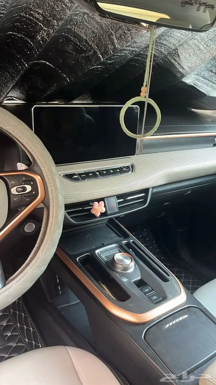 هافال جوليان شبه مخزنة 2021 م ممشى ممتاز وقليل 13