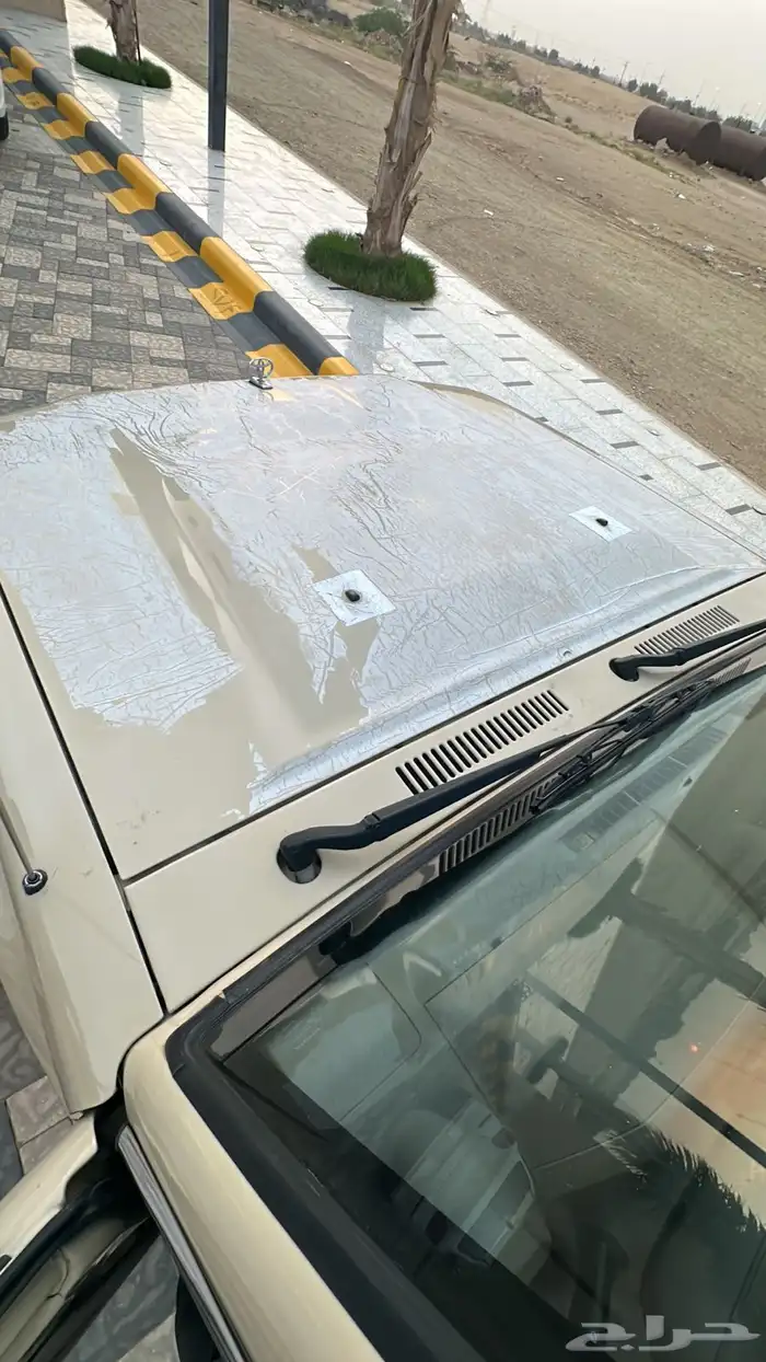 المظيلف 17