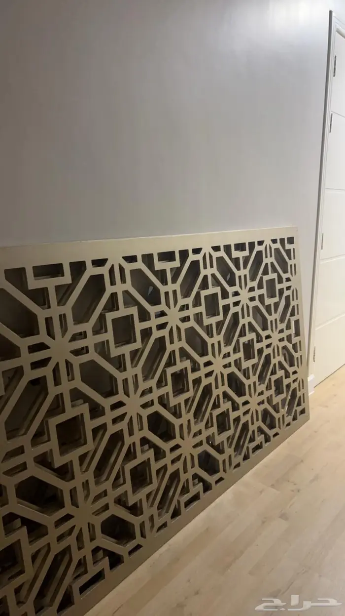 شتر فندقي جميل 2