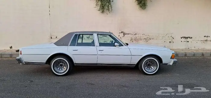 كابرس 79 بتبوك 10