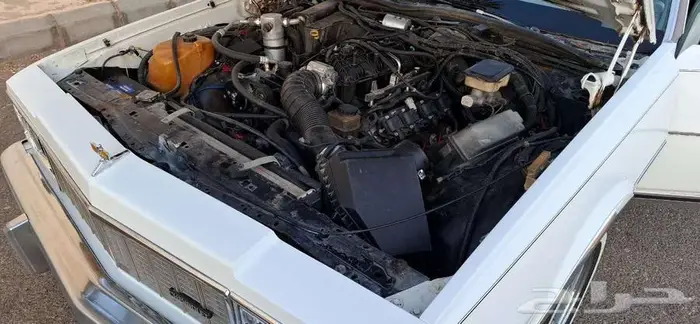 كابرس 79 بتبوك 43