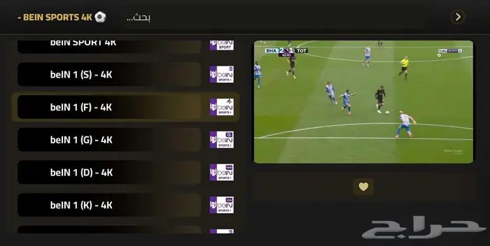 هولك الاصلي لمدة سنة بسعر مناسب وضمان كامل 3