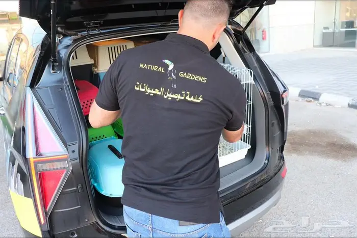 تيمون اعمار صغيره اليفين 3