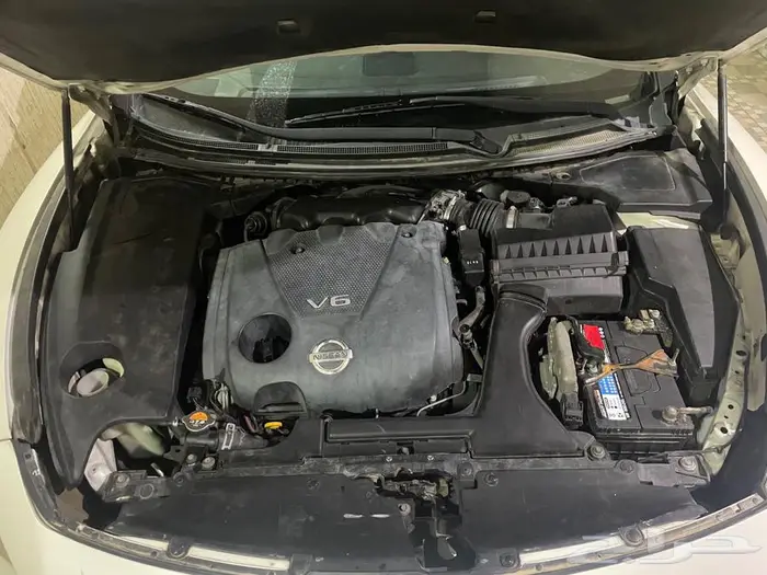 مكسيما 2011 فل كامل 8