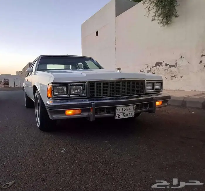 كابرس 79 بتبوك 3