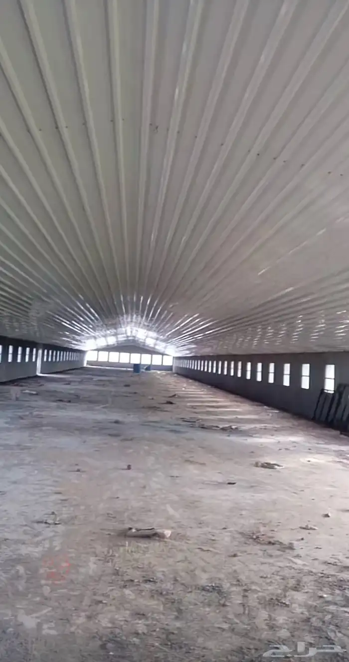 مقاول حظاير الدواجن 5