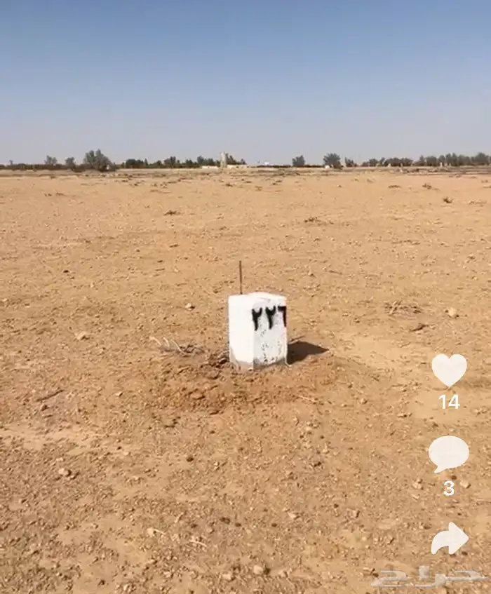 ارض زراعية للبيع بالودى السعيرة 0