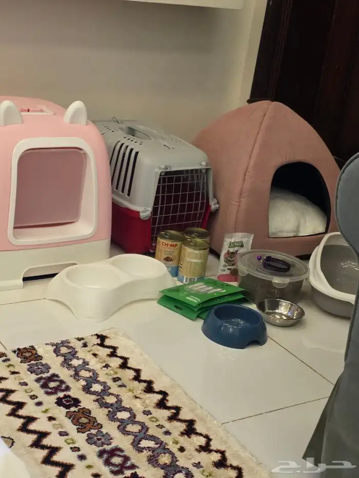 مستلزمات قطط 1