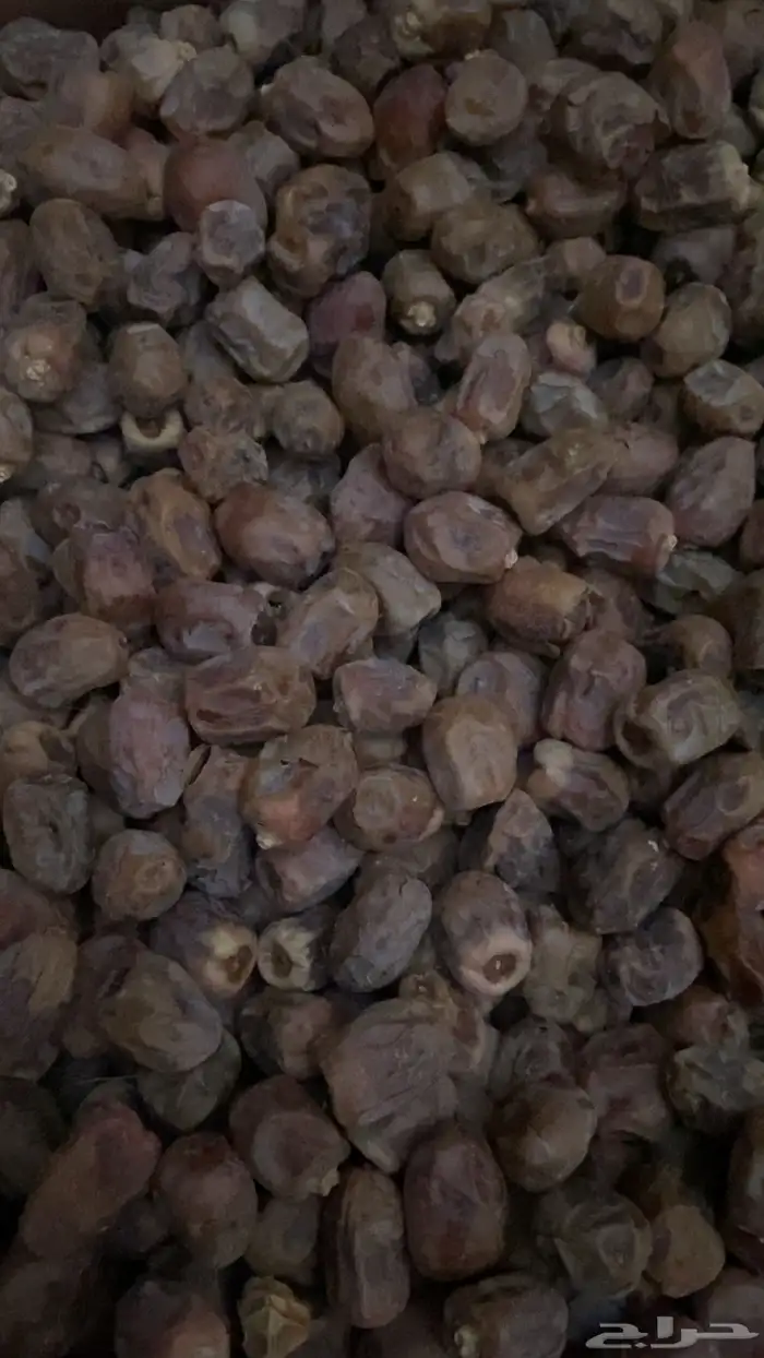 تمور 0