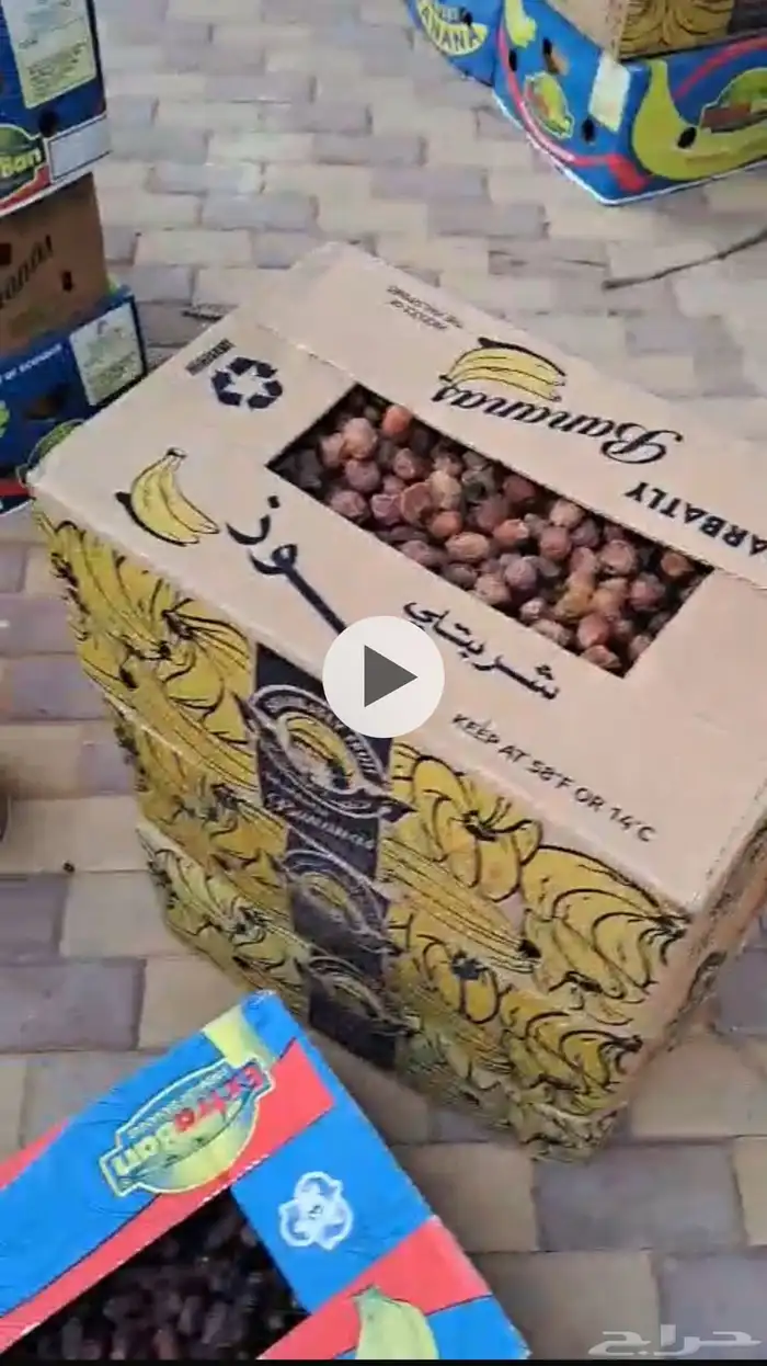 تمر للبيع 1