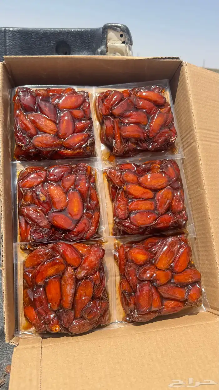 تمر صفري بيشة حبه كفو 0