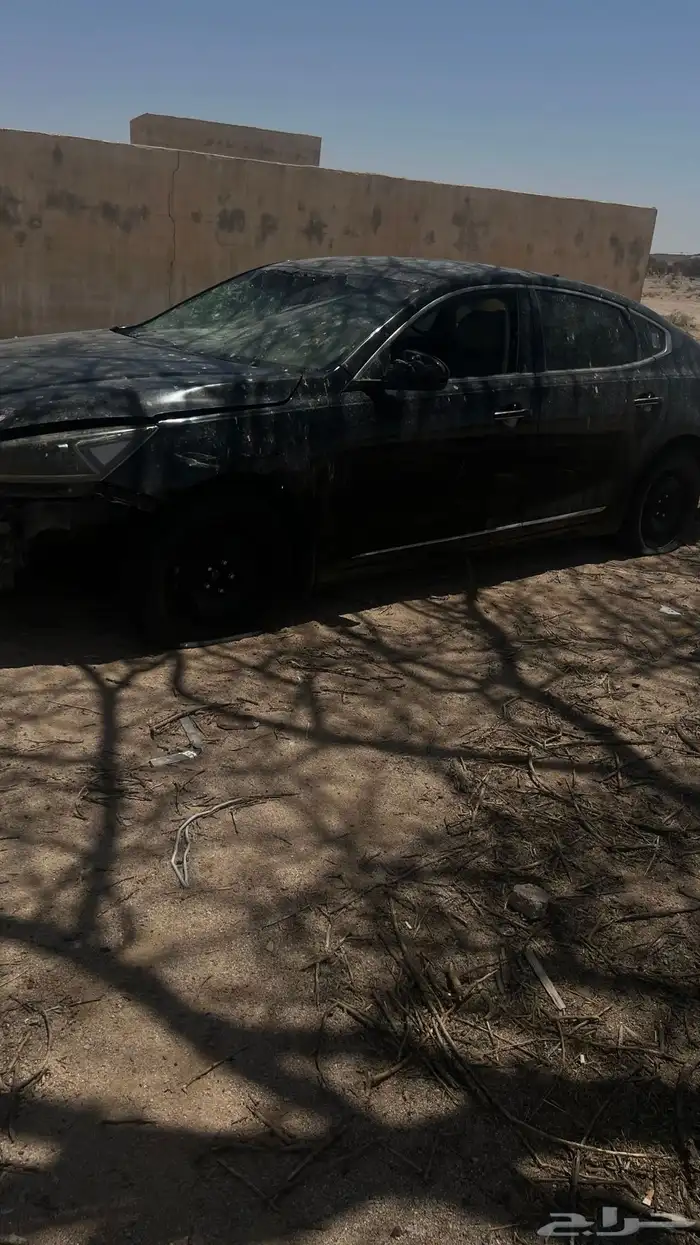 كادينزا تشليح 0