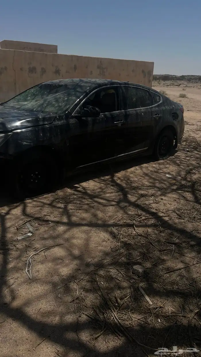 كادينزا تشليح 3