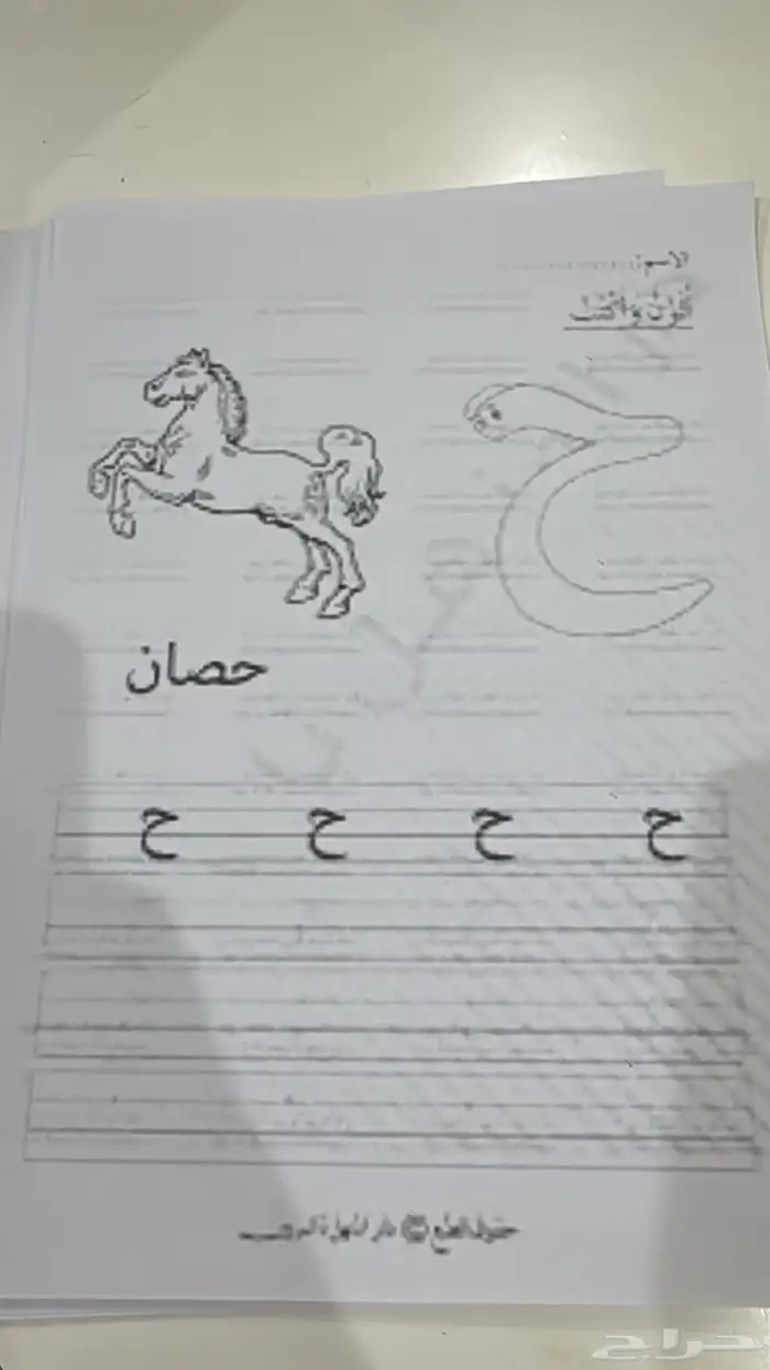 معلمة تأسيس خبرة في التدريس لجميع المواد 2