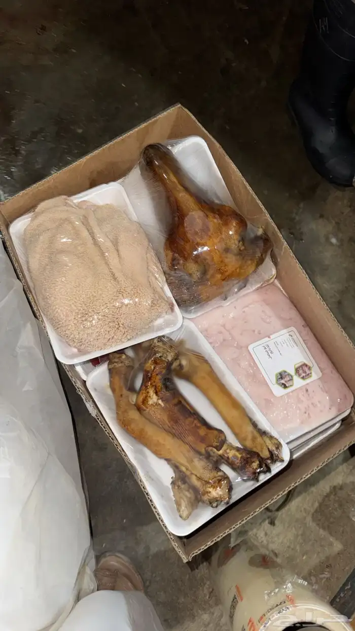 ذبايح رخال طيبه ضهور واطراف 3