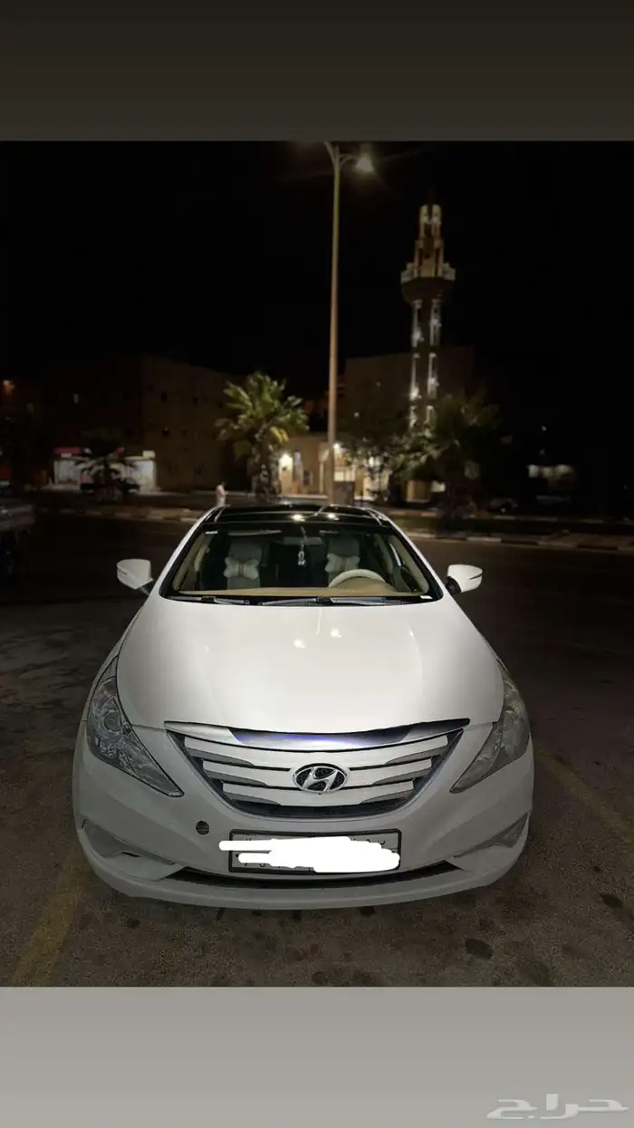 سنوناتا 2013 7