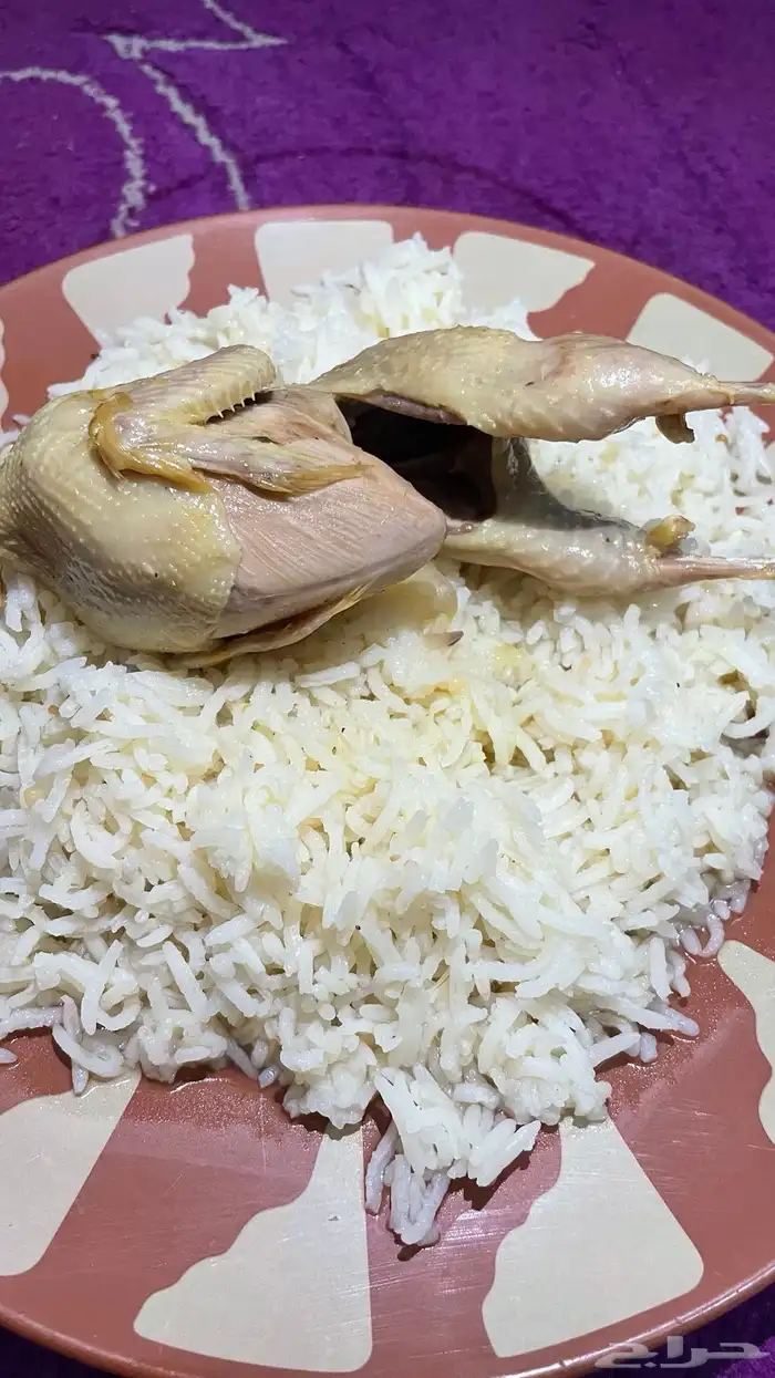 سمان ملكي ( ابو حاكم ) 6