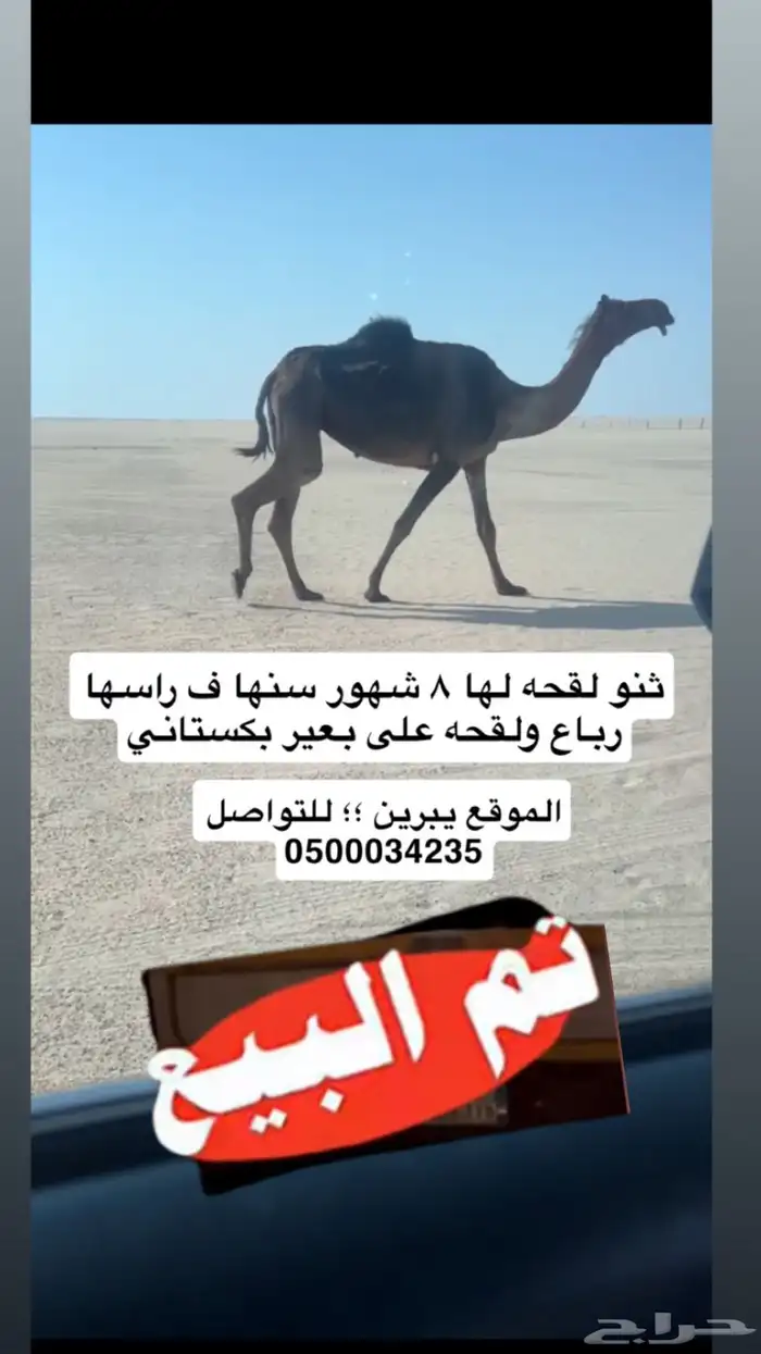 تم البيع 0
